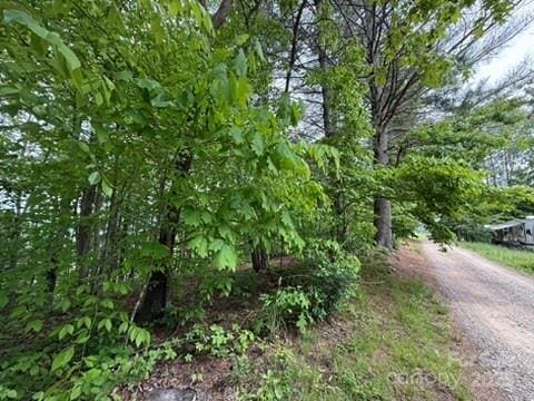 25 Mace Rd, Marshall, NC 28753