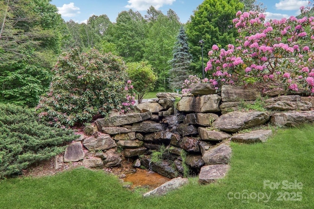 12 Whipoorwill Way, Waynesville, NC 28786 - view of yard