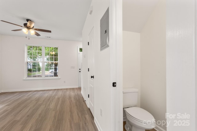 5529 Seths Dr, Charlotte, NC 28269 - bathroom featuring a ceiling fan, wood finished floors, toilet, electric panel, and baseboards