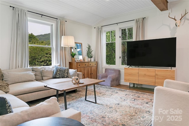 903 Middlefork Rd, Brevard, NC 28712 - living area featuring vaulted ceiling, wood finished floors, and wooden ceiling