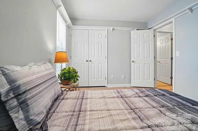 317 Cedarcroft Dr, Mooresville, NC 28115 - bedroom featuring a closet and light wood-style flooring