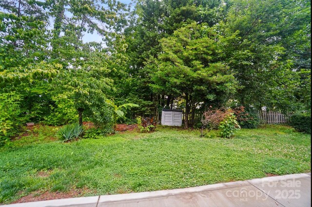 317 Cedarcroft Dr, Mooresville, NC 28115 - view of yard with mail area