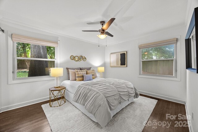 917 Dent Ct, Charlotte, NC 28210 - bedroom featuring multiple windows, wood finished floors, crown molding, and ceiling fan