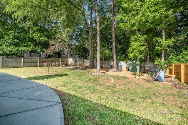 3505 Frostmoor Pl, Charlotte, NC 28269 - view of yard