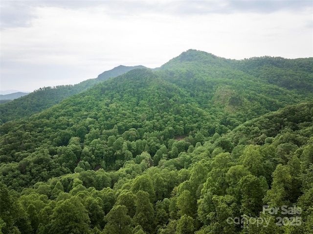 0 Pauline Dr, Bryson City, NC 28713 - photo 1