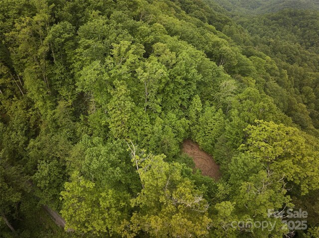 0 Pauline Dr, Bryson City, NC 28713 - photo 3