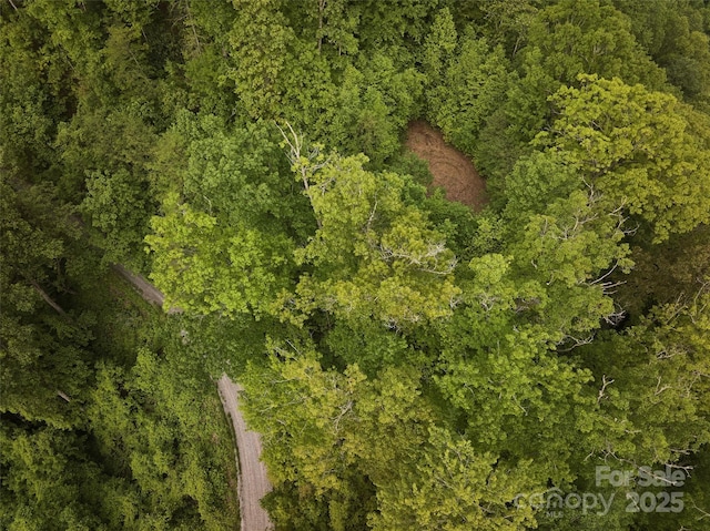 0 Pauline Dr, Bryson City, NC 28713 - photo 4