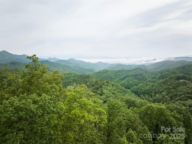 0 Pauline Dr, Bryson City, NC 28713 - photo 5