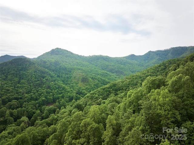 0 Pauline Dr, Bryson City, NC 28713 - photo 6