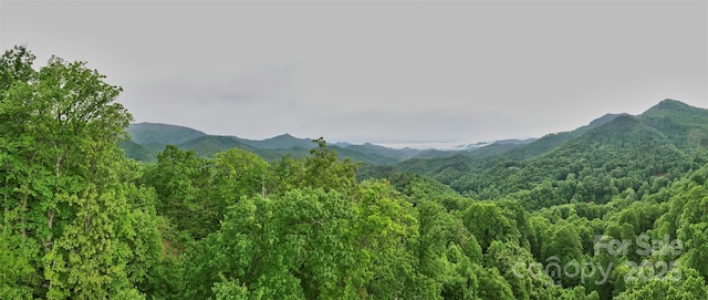 0 Pauline Dr, Bryson City, NC 28713 - photo 7
