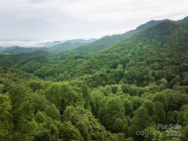 0 Pauline Dr, Bryson City, NC 28713 - photo 8