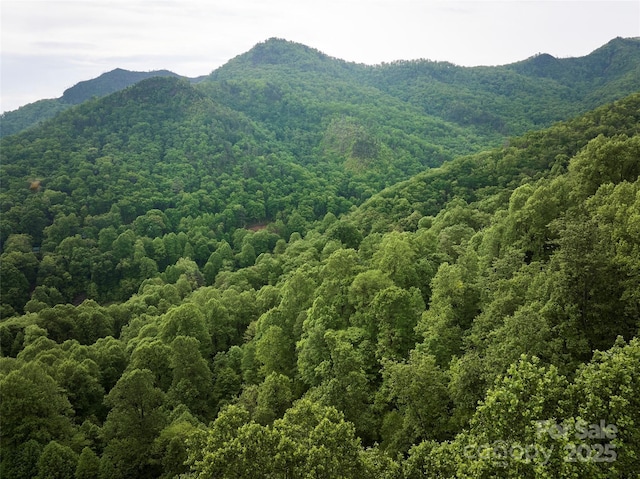 0 Pauline Dr, Bryson City, NC 28713 - photo 9