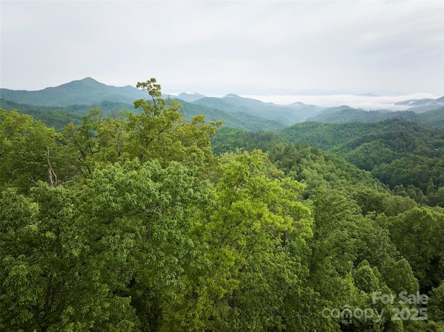 0 Pauline Dr, Bryson City, NC 28713 - photo 10
