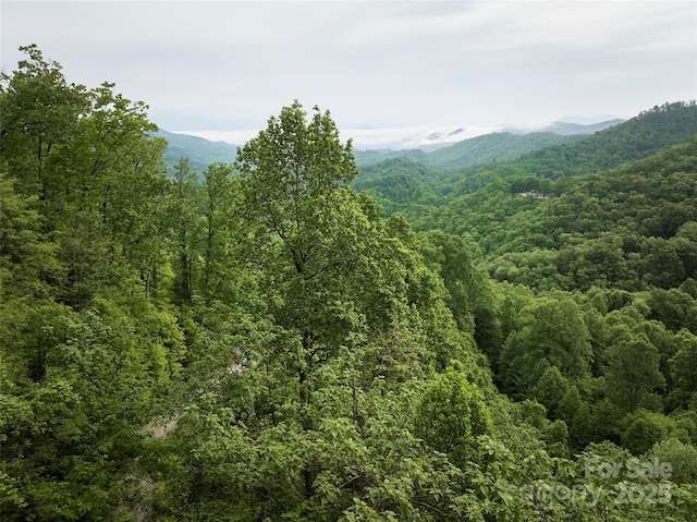 0 Pauline Dr, Bryson City, NC 28713 - photo 11