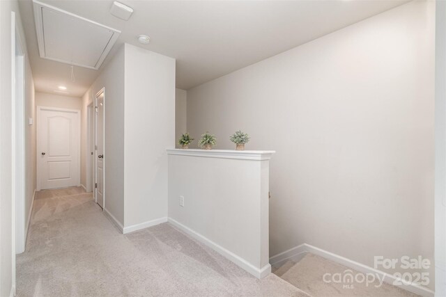 3436 Scottish Fern Ln Unit 172, Indian Land, SC 29707 - photo 22