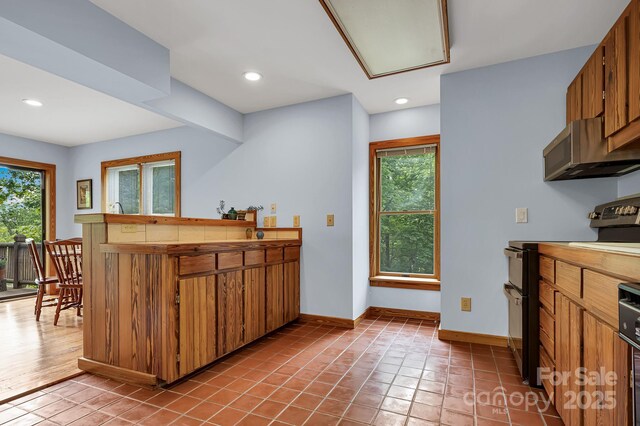 214 Laurel Mountain Trl, Saluda, NC 28773 - kitchen with stainless steel appliances, plenty of natural light, baseboards, brown cabinetry, and recessed lighting