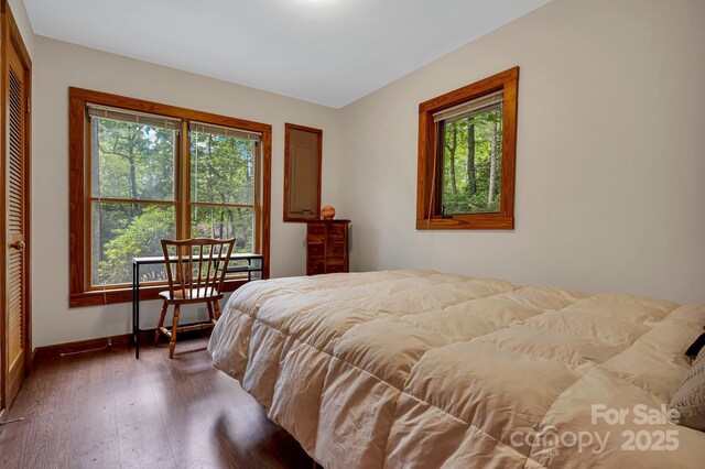 214 Laurel Mountain Trl, Saluda, NC 28773 - bedroom with multiple windows, baseboards, wood finished floors, and a closet