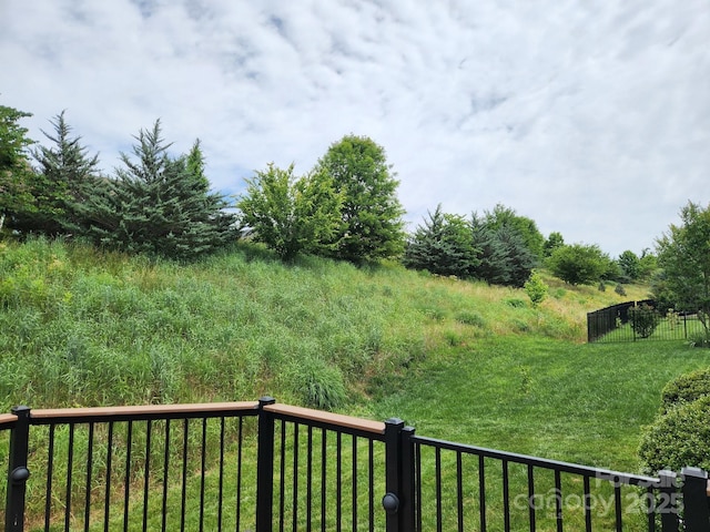 467 Granite Lake Ct, Denver, NC 28037 - view of yard