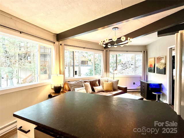 109 Beechwood Ln, Beech Mountain, NC 28604 - dining space with a baseboard heating unit, a baseboard radiator, a chandelier, beamed ceiling, and wood finished floors