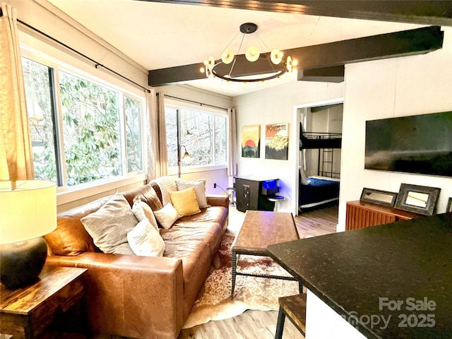 109 Beechwood Ln, Beech Mountain, NC 28604 - living room with wood finished floors, a chandelier, and beamed ceiling