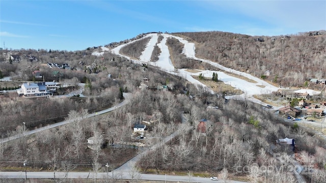 109 Beechwood Ln, Beech Mountain, NC 28604 - mountain view