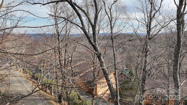 109 Beechwood Ln, Beech Mountain, NC 28604 - water view with a mountainous background
