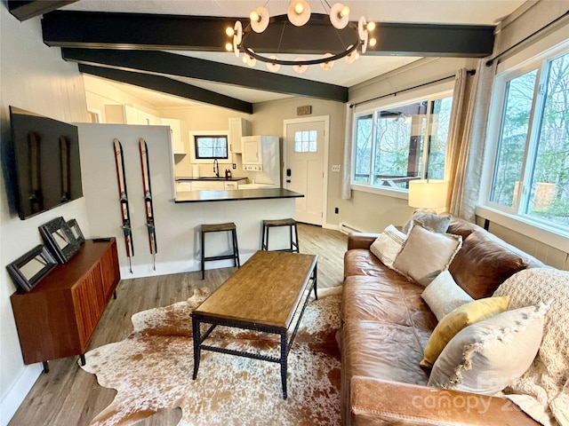 109 Beechwood Ln, Beech Mountain, NC 28604 - living area featuring wood finished floors, a chandelier, and a baseboard radiator