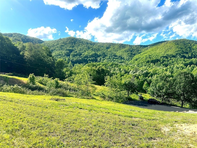 00 Camden Downs Rd Unit 9, Waynesville, NC 28785