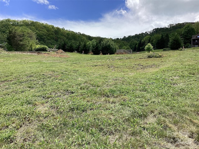 00 Camden Downs Rd Unit 9, Waynesville, NC 28785
