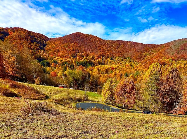 00 Camden Downs Rd Unit 9, Waynesville, NC 28785