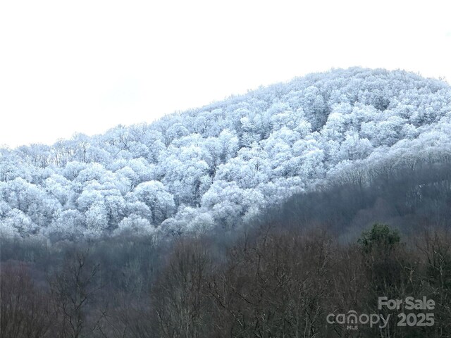 00 Camden Downs Rd Unit 9, Waynesville, NC 28785