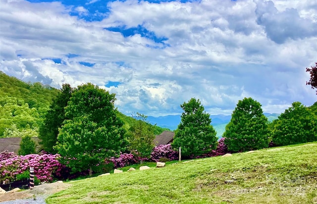 00 Camden Downs Rd Unit 9, Waynesville, NC 28785