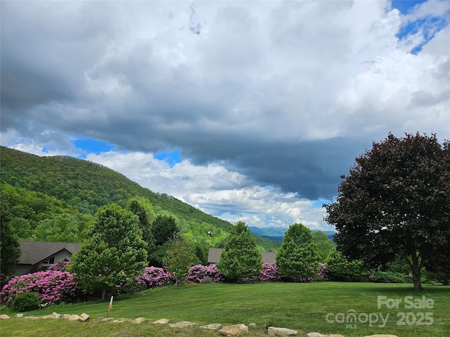 00 Camden Downs Rd Unit 9, Waynesville, NC 28785