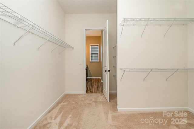 3105 Bonterra Blvd, Indian Trail, NC 28079 - walk in closet featuring light colored carpet