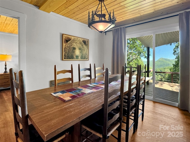 80 Hidden Falls Rd, Maggie Valley, NC 28751 - dining room with wood ceiling and hardwood / wood-style flooring