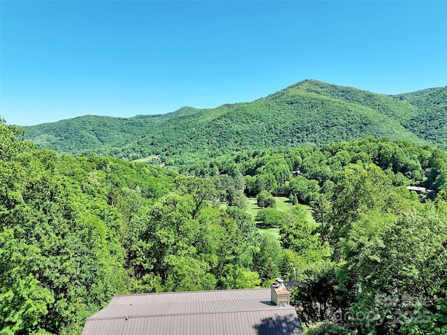 80 Hidden Falls Rd, Maggie Valley, NC 28751 - view of mountain background with a forest