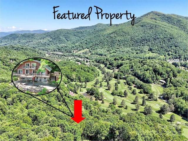 80 Hidden Falls Rd, Maggie Valley, NC 28751 - drone / aerial view of a heavily wooded area and a mountainous background