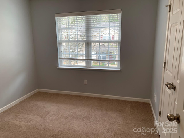 111 Alpine Ridge Dr, Asheville, NC 28803 - photo 17