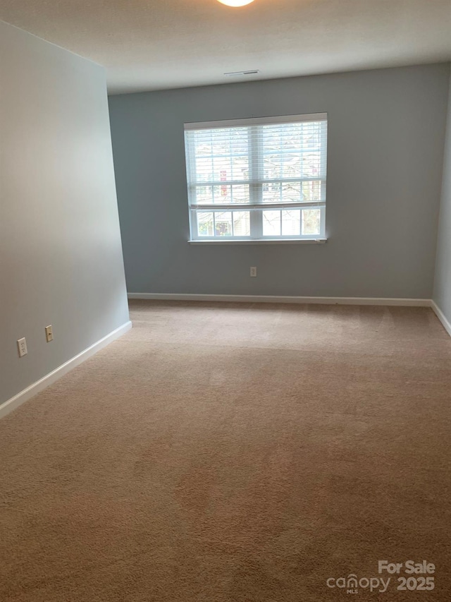 111 Alpine Ridge Dr, Asheville, NC 28803 - photo 19
