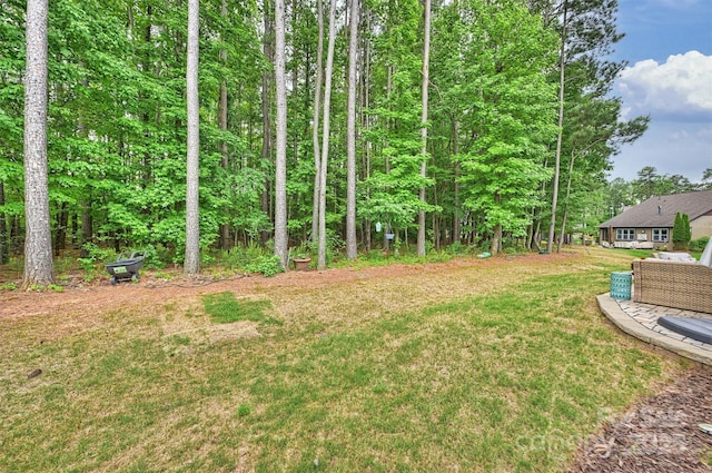 528 Sandbar Pt, Clover, SC 29710 - view of grassy yard