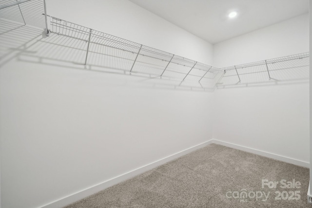 walk in closet featuring carpet