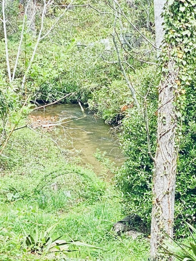 5933 N Norton Rd, Cullowhee, NC 28723 - view of local wilderness