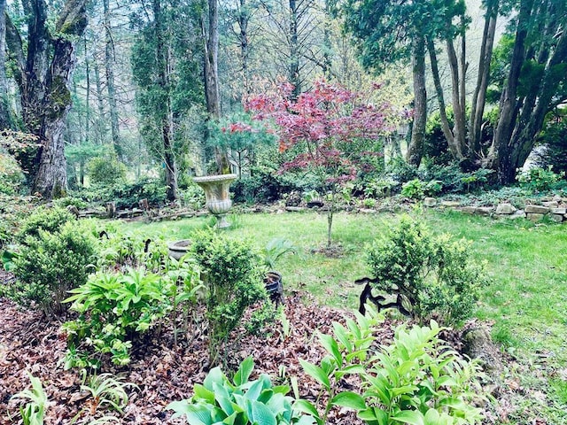 5933 N Norton Rd, Cullowhee, NC 28723 - view of yard