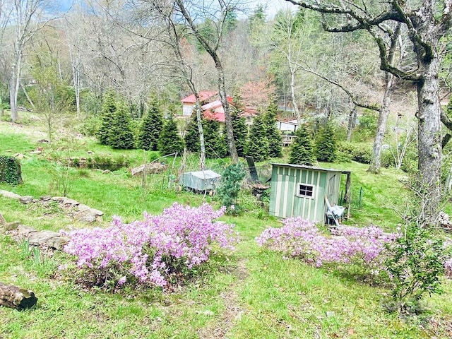 5933 N Norton Rd, Cullowhee, NC 28723 - view of yard with a storage unit, an outbuilding, and a view of trees