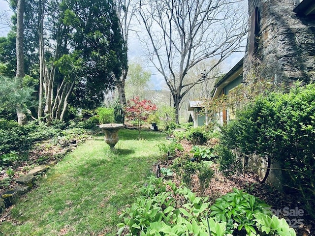 5933 N Norton Rd, Cullowhee, NC 28723 - view of green lawn