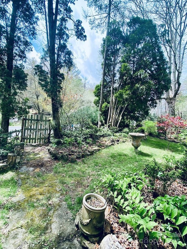 5933 N Norton Rd, Cullowhee, NC 28723 - view of yard with fence