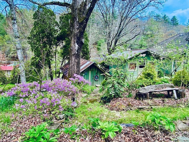 5933 N Norton Rd, Cullowhee, NC 28723 - view of yard with an outdoor structure and a storage shed