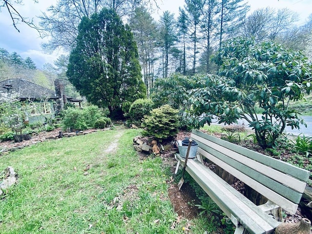 5933 N Norton Rd, Cullowhee, NC 28723 - view of green lawn