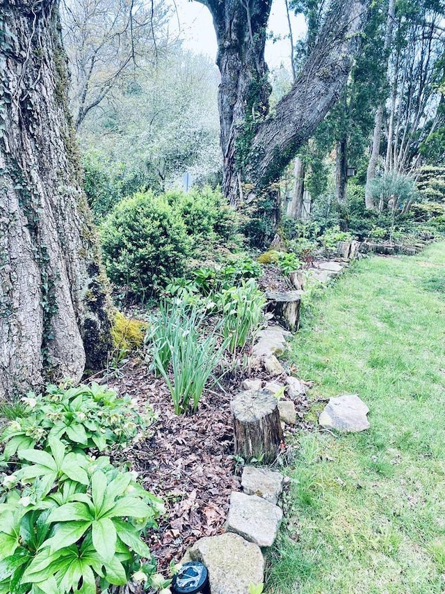 5933 N Norton Rd, Cullowhee, NC 28723 - view of green lawn featuring a garden