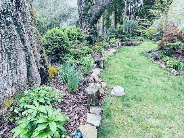 5933 N Norton Rd, Cullowhee, NC 28723 - view of grassy yard